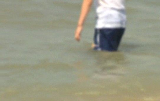 제주 해수욕장서 5분여 만에 30명 해파리 쏘여