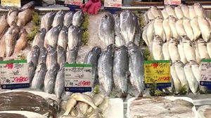 [전주] 어획량 줄어 수산물 가격 크게 올라