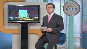 [뉴스비평] '독도' 관련 뉴스에 대한 비평