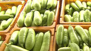 태풍 '산바'에 채소값 더 오른다
