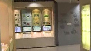 [부산] '막대한 예산 허공에' 테마관 방치 논란
