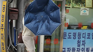 태풍 덴빈에 정읍 호우로 300여 명 대피