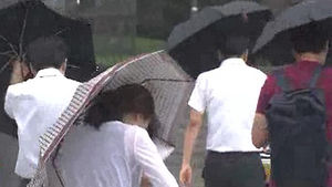 강풍에 날아온 간판 맞아 40대 여성 의식불명