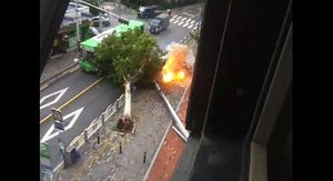 [영상] 태풍 때문에 쓰러진 전봇대서 불꽃이 '펑!'