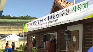 [수도권] 소 사육두수 급증, 파동 우려