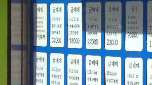 [경제365] MB정부 5년, 수도권 전세가 28.6% ↑