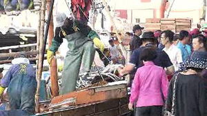 [제주] 제주연안, 갈치 '대풍'&hellip;위판장도 활기