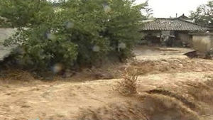 전국 '산바' 피해&hellip;2명 사망&middot;이재민 600여 명