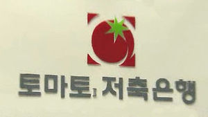 토마토2저축은행 영업정지 후 내주 영업재개