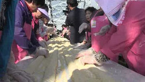 '1537m 인절미' 세상에서 가장 긴 떡 탄생