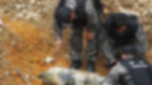 영동 둑 공사장서 6&middot;25 때 녹슨 포탄 발견