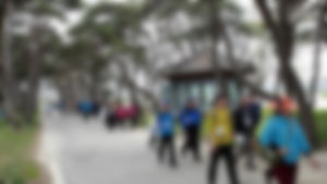 녹색연합 "걷는 길 500곳&hellip;중복투자ㆍ관리부실"