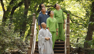 [영상토크] 가을 산사에서 휴가 즐기기, 템플스테이(Templestay)