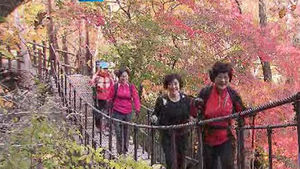 [부산] 지리산 단풍, 등산객 유혹&hellip;이번 주 절정