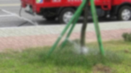 "장모님께 선물하려…" 가로수 뽑아간 40대 검거