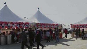 [대전] 강경 일대서 2012 발효젓갈축제 개막