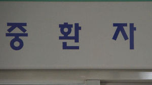 호송 중 3m 담 넘어 탈출하다가 '쿵'&hellip;중태