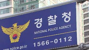 대선 허위사실 공표&middot;명예훼손, 특별 신고