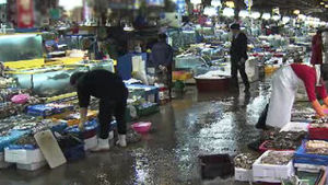 노량진 수산시장 창고서 불&hellip;200만 원 피해