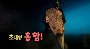 [영상] 좌초한 배에서 초대형 홍합이!