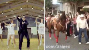 강남스타일에 맞춰 춤추는 말&hellip;이게 진짜 '말춤'