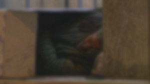 서울 노숙인 24시간 돕는다&hellip;통합콜 첫 운영