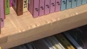 포장이사 비용 계속 올라&hellip;피해 사례도 급증