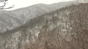 山地 규제 전면 재검토&hellip;공장&middot;휴양시설 등 허용추진
