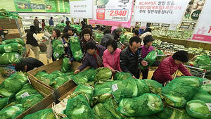 배추값 안정 위해 600t 풀기로&hellip;시중가보다 40% 싸게