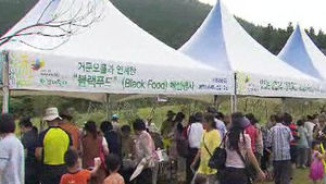 [제주] 세계자연유산센터 현장학습장 인기