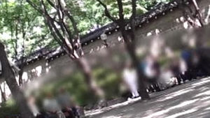판 짜주고 망 봐주고&hellip;노인들 울린 '윷놀이 도박단'