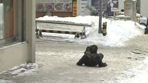 겨울비에 도로 곳곳 살얼음&hellip;잇단 낙상사고