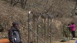 [부산] 도심 등산로, 주제별로 정비한다