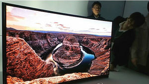 삼성, 휘어진 55인치 OLED TV 공개