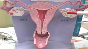 [건강] 30대 주부 "결혼 3년차인데 임신이&hellip;" 고민