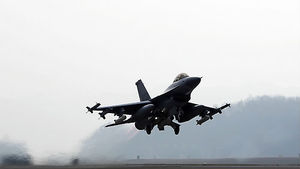 "미국서 훈련 중 추락 F-16전투기 조류와 충돌한듯"