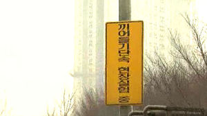 도로 위 '미꾸라지' 단속, 6년째 시범운영만