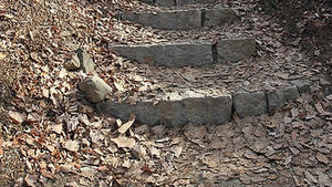 사라진 지 10년만에&hellip;미국 여성 3명 동네서 발견