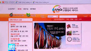 [대구] 농산물 인터넷 쇼핑몰 '사이소' 급성장