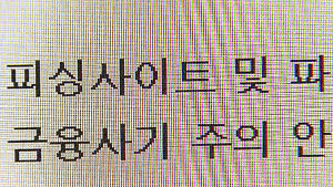 인터넷쇼핑몰 상품 결제하려다 `파밍' 피해