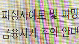 가짜 은행 홈피 진짜에 링크 신종 금융사기 기승