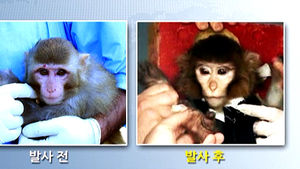 우주 다녀온 원숭이 얼굴 달라져&hellip;조작 의혹