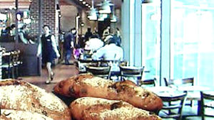 프랜차이즈 업계, 동반위 결정에 "소송 불사"