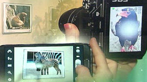 "40만 원 내라" 인터넷에 사진 1장 올렸다 곤욕