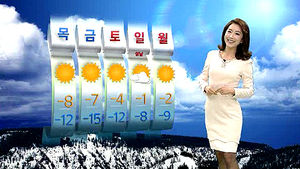 [날씨] 밤새 최고 8cm 눈&hellip;그친 뒤 강추위