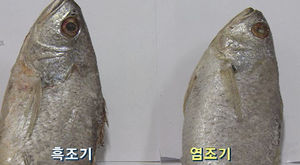 냉동 흑조기 탈색해 제수용 염조기로 유통