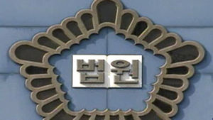 대전지법 '화학적 거세' 위헌법률심판 제청