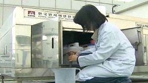 "북한 핵실험에서 방사성 '제논' 검출 안 돼"