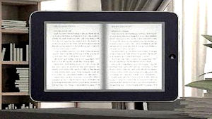 전자책 단말기 상품 제각각&hellip;"볼 책이 없다"