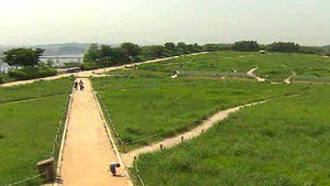 난지도 공원 내 동&middot;식물, 10년간 500여 종 증가
